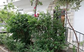 Apartmani Nova
